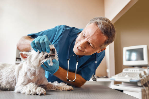 Best Walk-In Emergency Dentist in Vineland, NJ